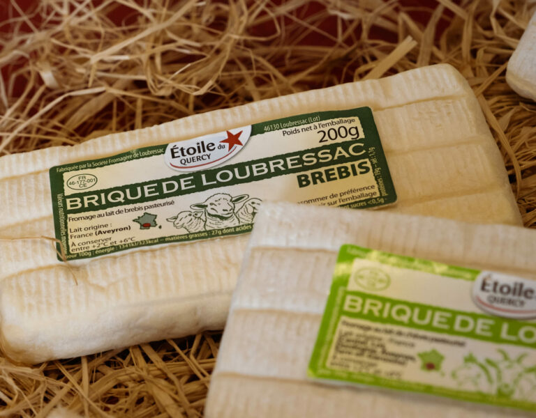 brique brebis ambiance