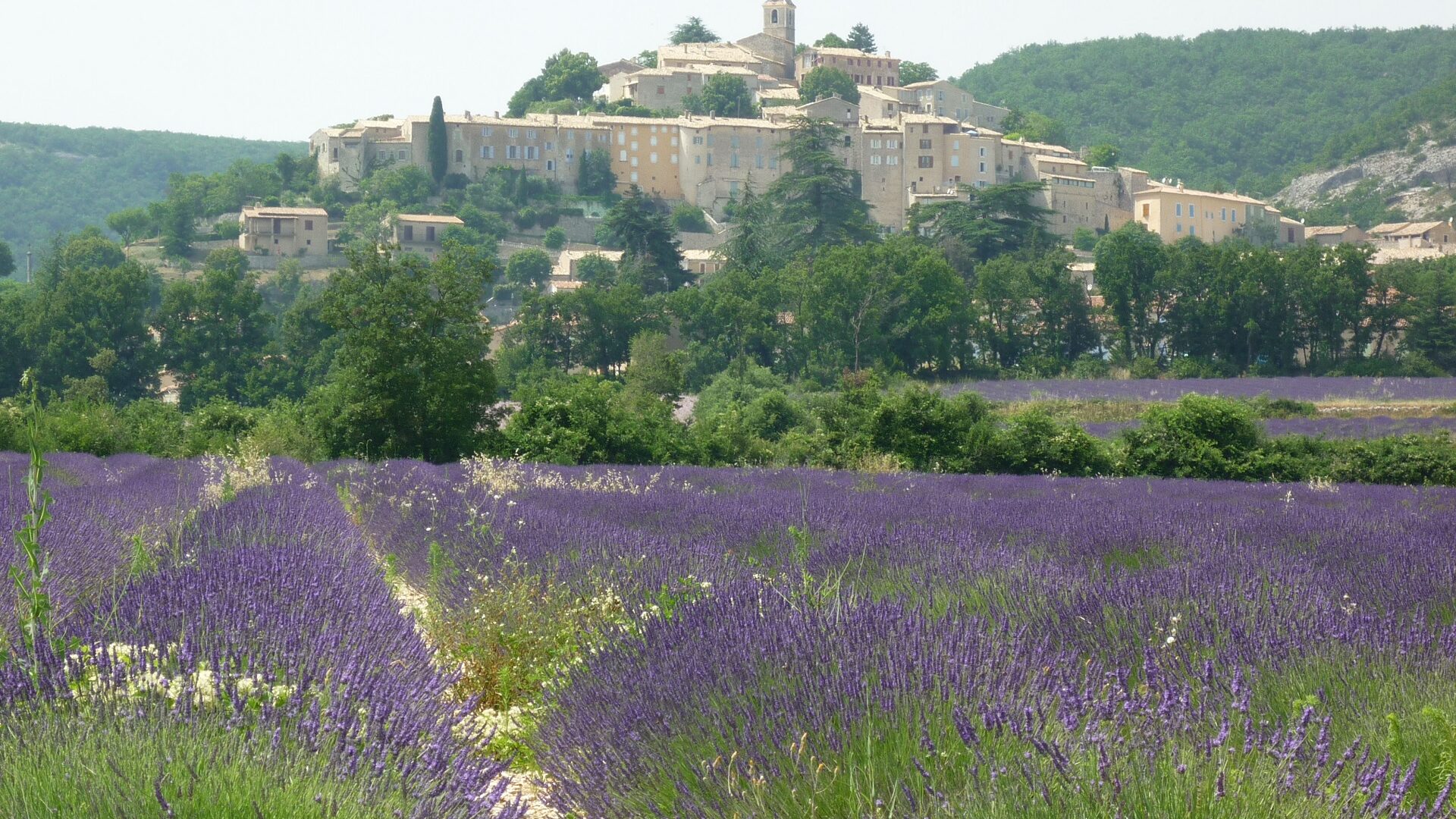 La Tome Fraîche