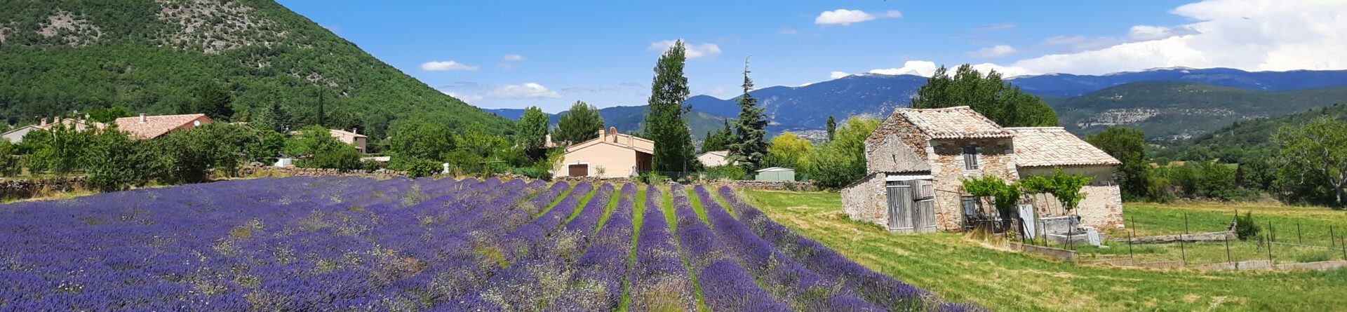 La Fromagerie de Banon