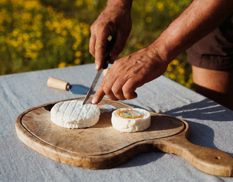 Dégustation fromages bio